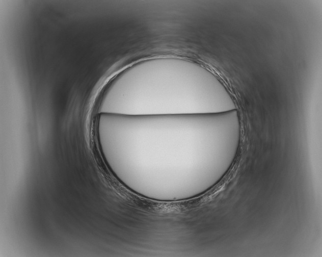 X0000116890343200912221008