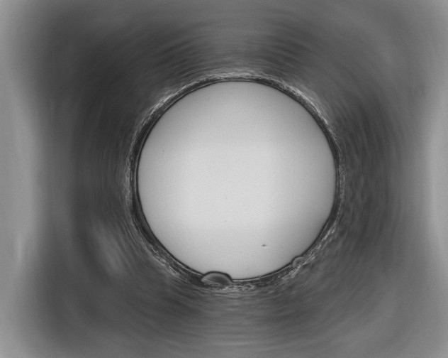 X0000116890345200912221008