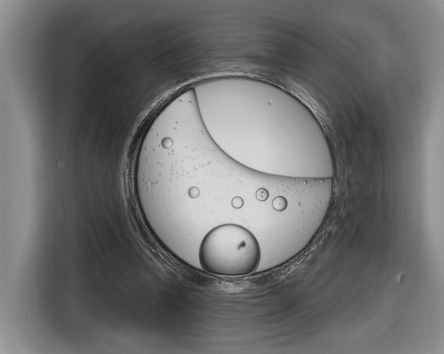 X0000116890346200912221008