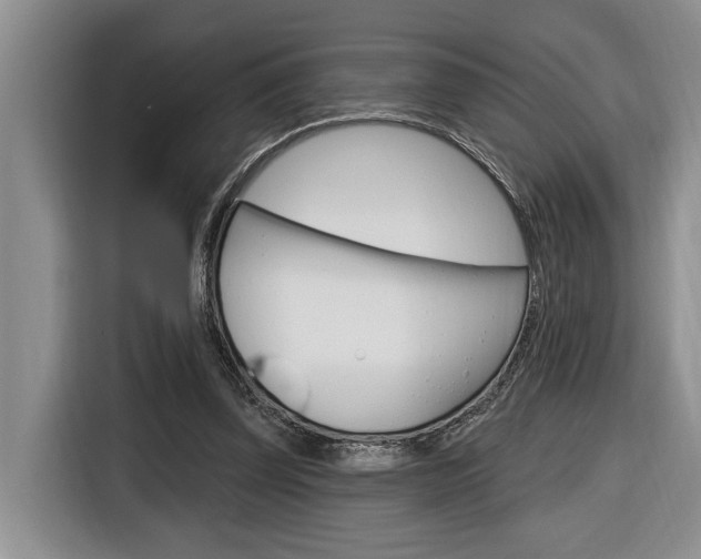 X0000116890347200912221008