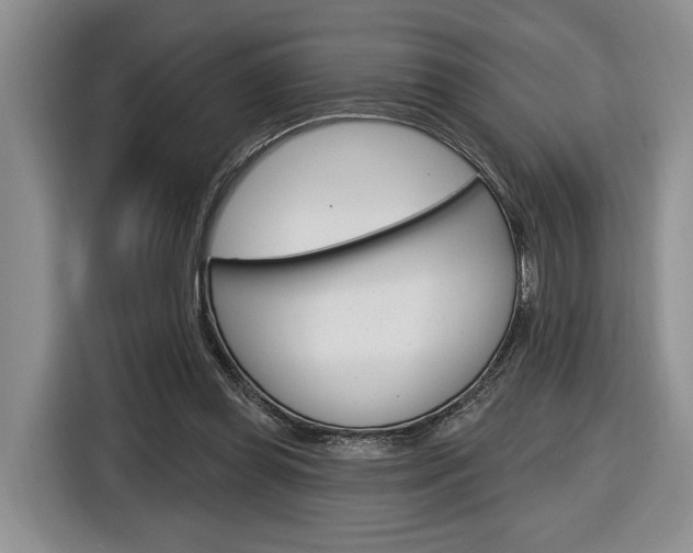 X0000116890349200912221009