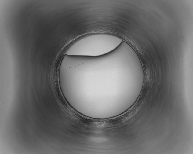 X0000116890351200912221009