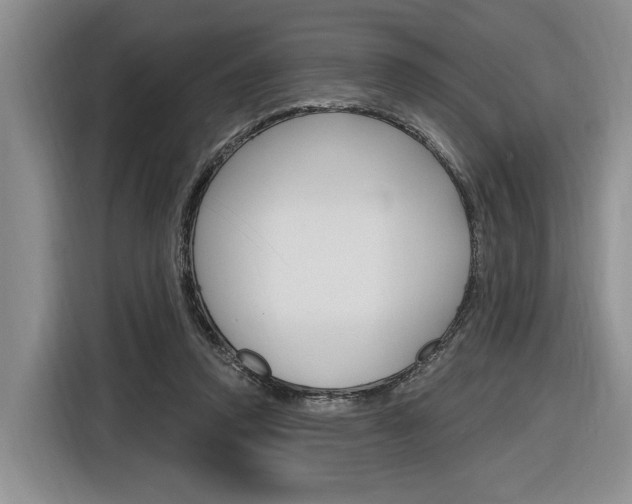 X0000116890354200912221009