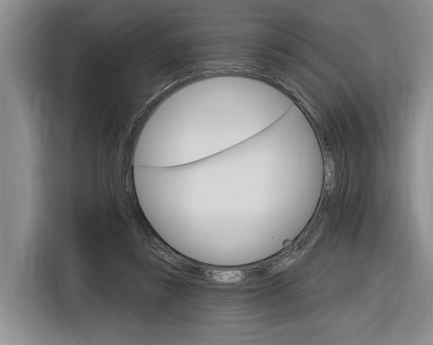 X0000116890355200912221009