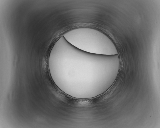 X0000116890357200912221009