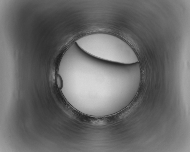 X0000116890358200912221009