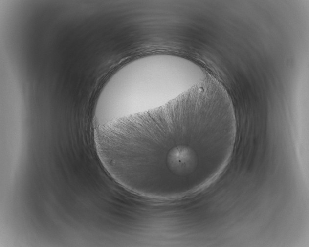 X0000116890359200912221009