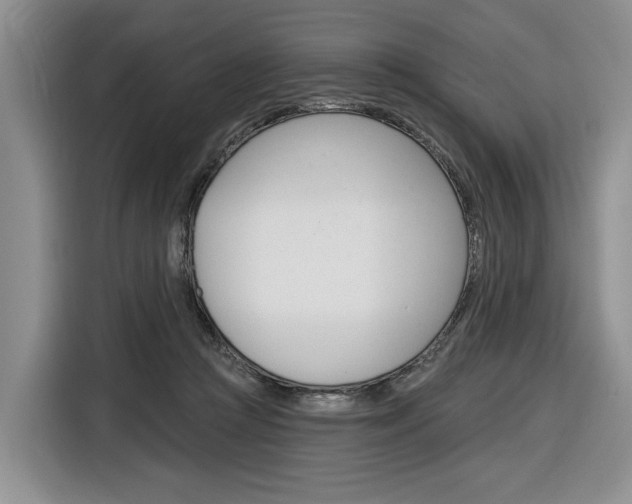 X0000116890361200912221009