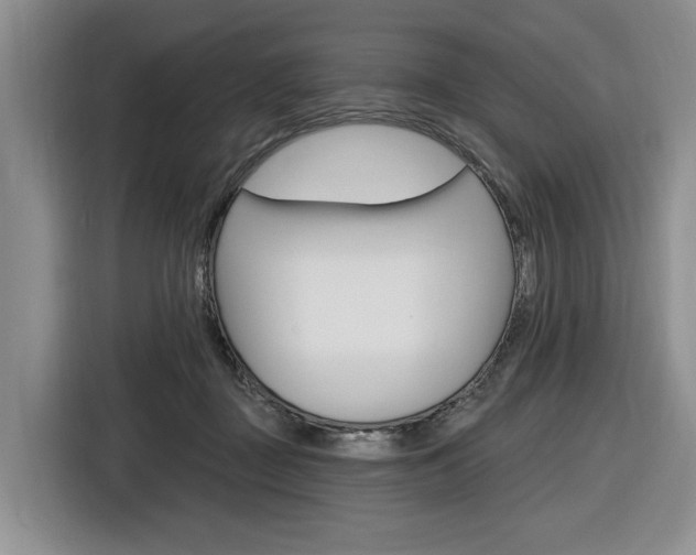 X0000116890363200912221009