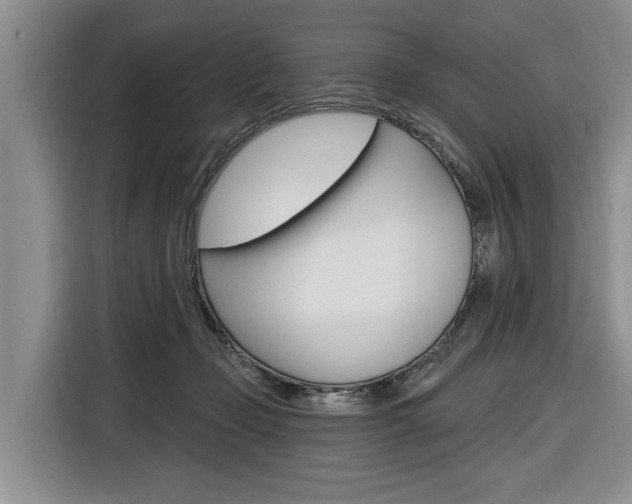 X0000116890365200912221009