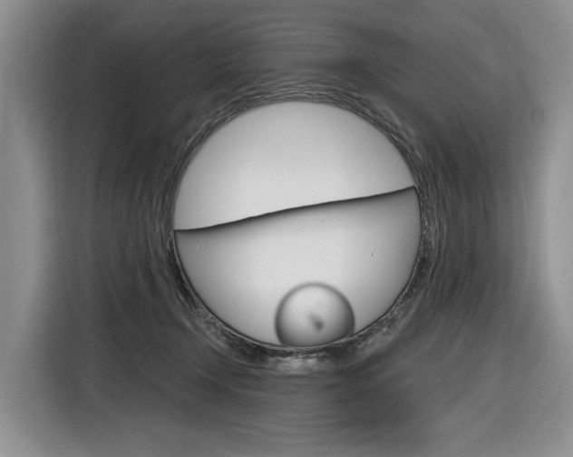 X0000116890366200912221009