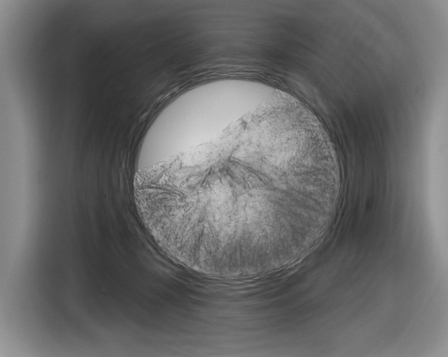 X0000116890367200912221009