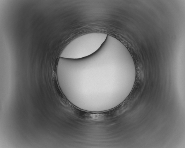 X0000116890371200912221009
