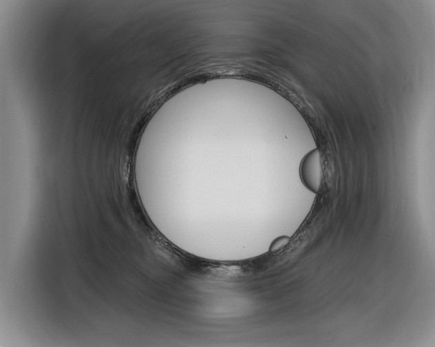 X0000116890374200912221009