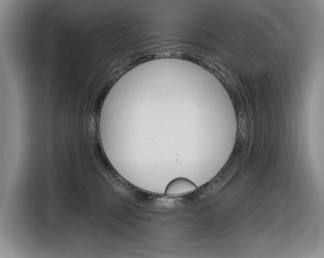 X0000116890375200912221009