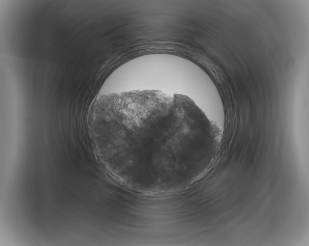 X0000116890381200912221009
