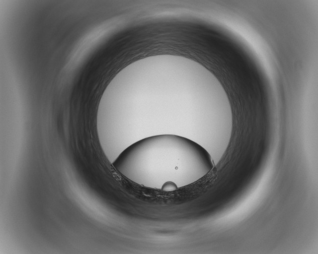 X0000116890382200912221009