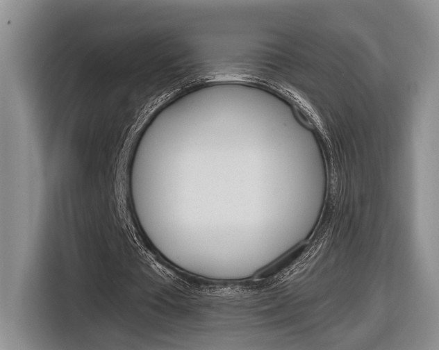 X0000116890385200912221008