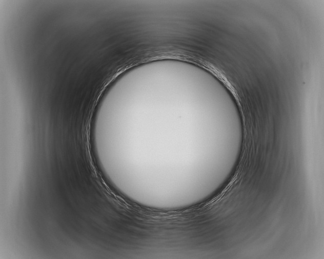 X0000116890386200912221008
