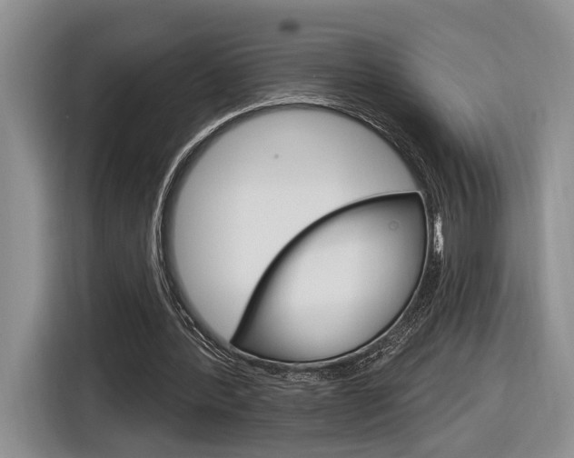 X0000116890388200912221008