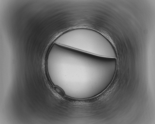 X0000116890389200912221008