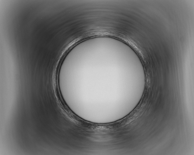 X0000116890390200912221008