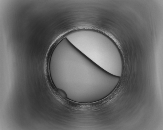 X0000116890391200912221008