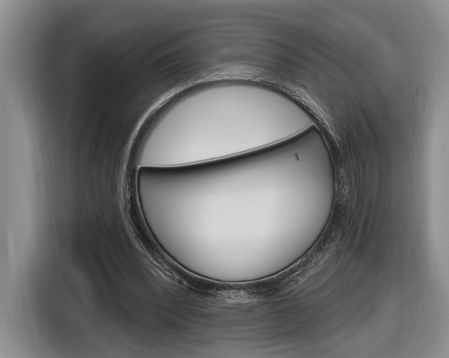 X0000116890392200912221008
