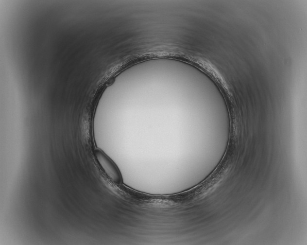 X0000116890393200912221008