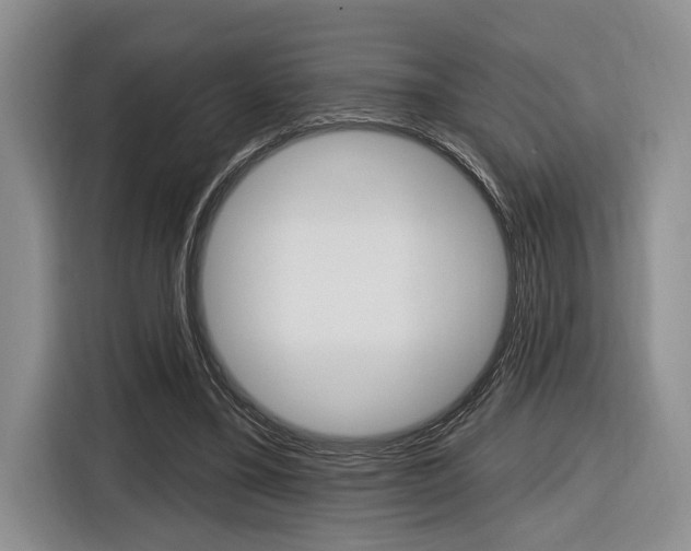 X0000116890395200912221008