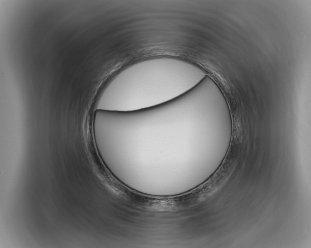 X0000116890398200912221008