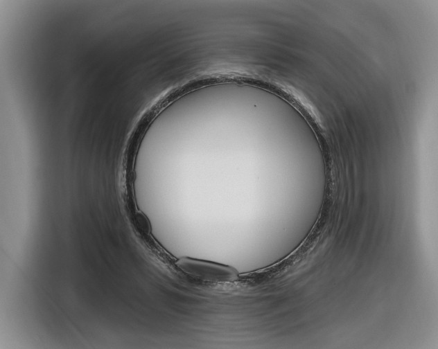 X0000116890399200912221008