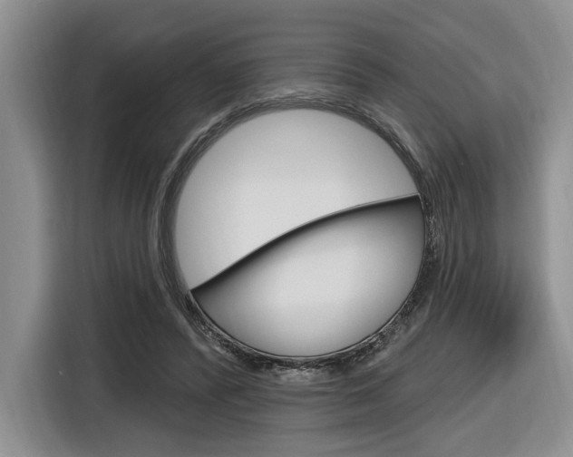 X0000116890400200912221008