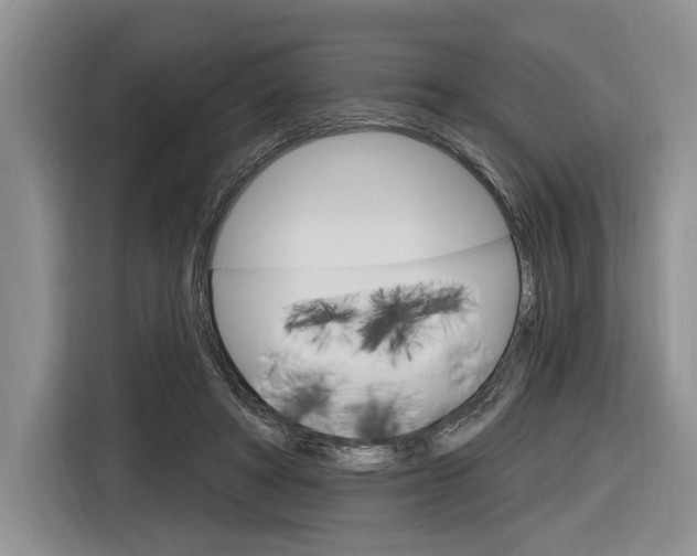X0000116890402200912221008