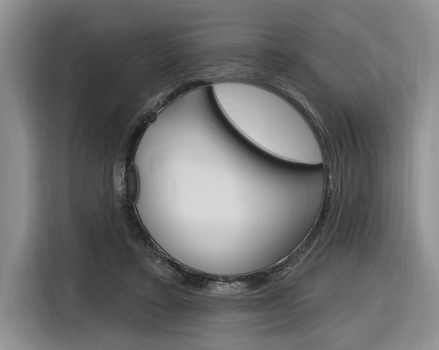 X0000116890403200912221008