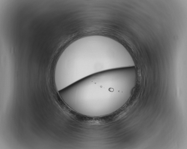X0000116890404200912221008