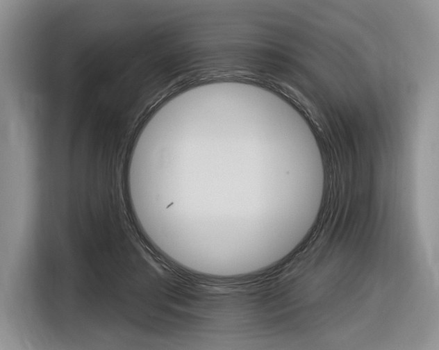 X0000116890405200912221008