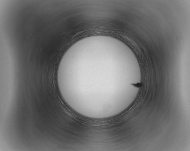 X0000116890409200912221008