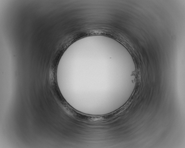 X0000116890410200912221008
