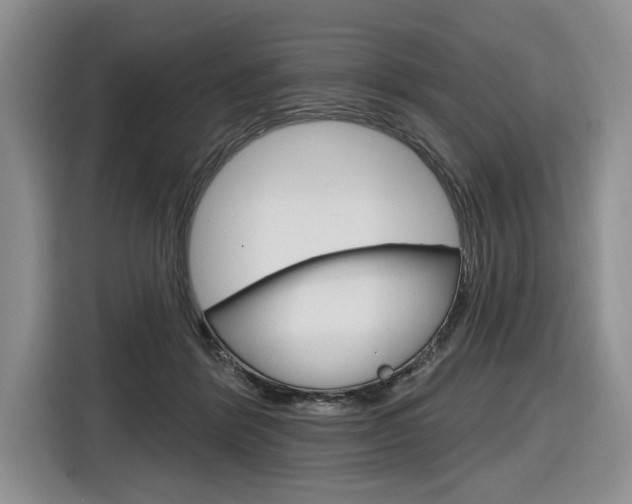 X0000116890412200912221008