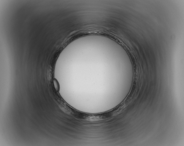 X0000116890413200912221008