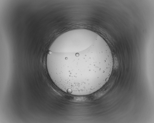 X0000116890414200912221008
