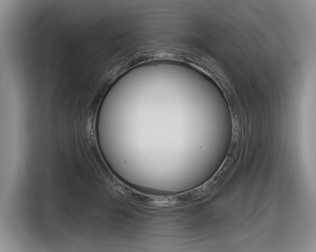 X0000116890415200912221008