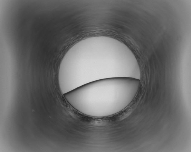 X0000116890416200912221008
