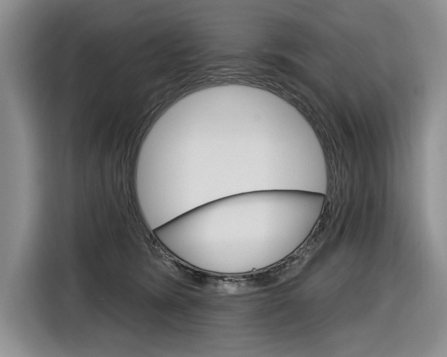 X0000116890420200912221008