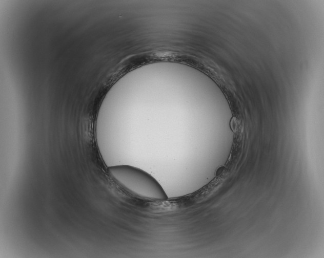 X0000116890421200912221008