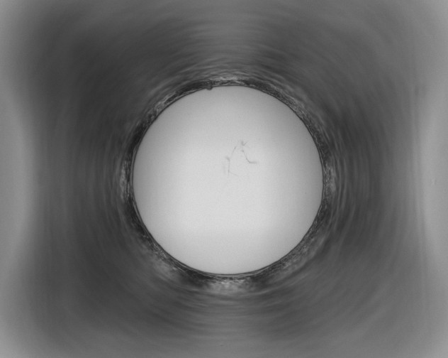 X0000116890422200912221008