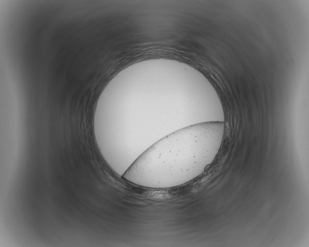 X0000116890424200912221008