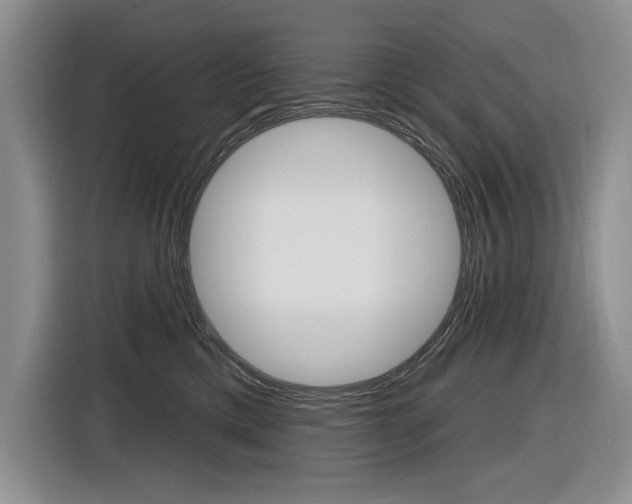 X0000116890425200912221008