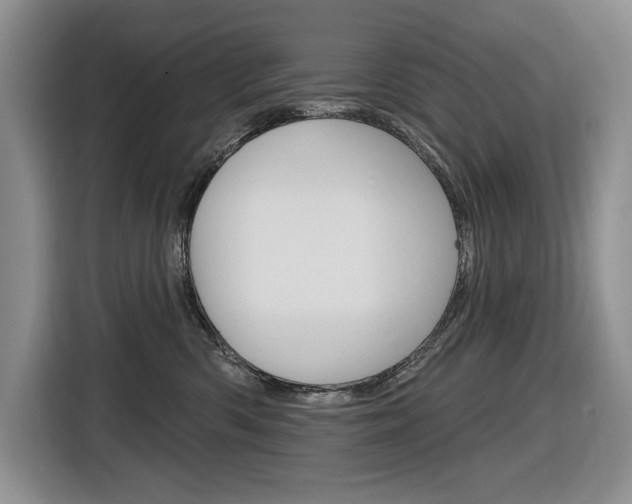 X0000116890426200912221008